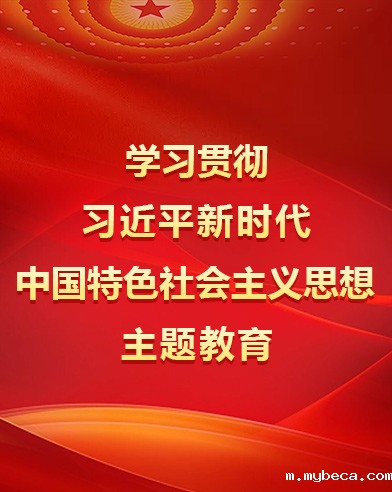 学习贯彻习近平新时代中国特色社会主义思想主题教育
