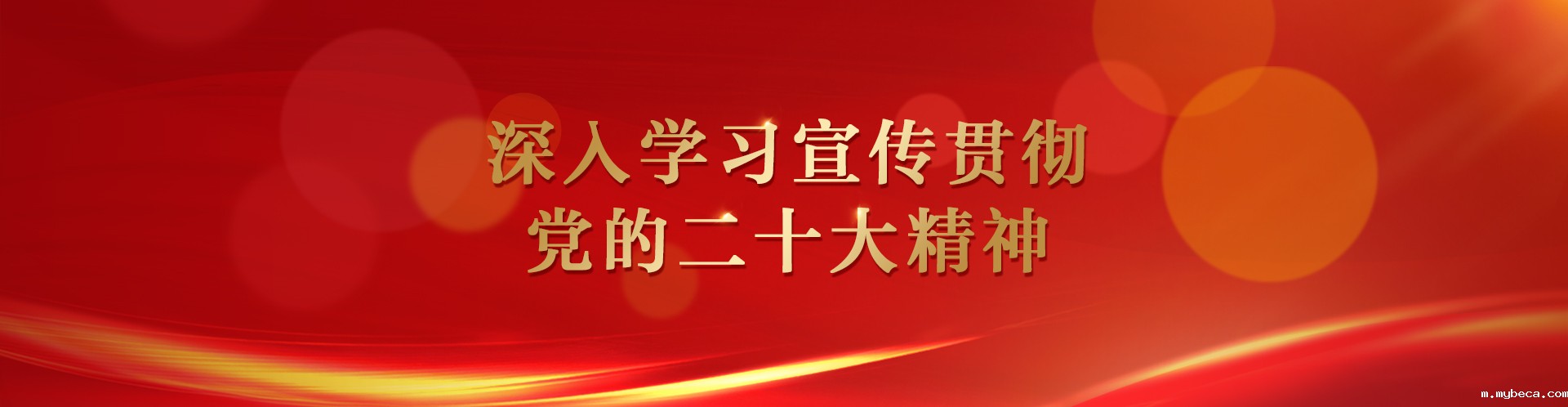 深入学习宣传贯彻党的二十大精神