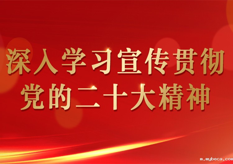 深入学习宣传贯彻党的二十大精神