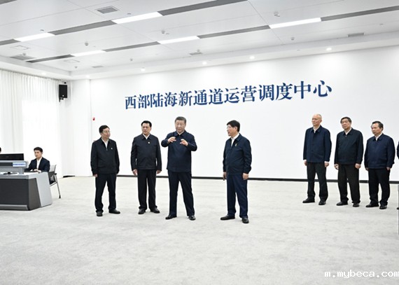 习近平在重庆考察时强调 扎实开展党纪学习教育