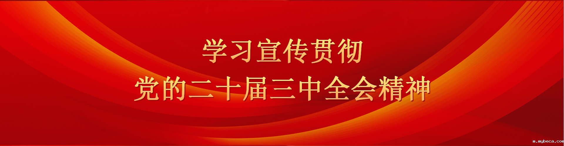 学习宣传贯彻党的二十届三中全会精神