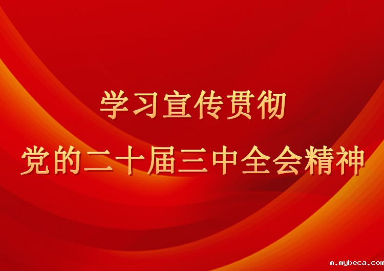 学习宣传贯彻党的二十届三中全会精神