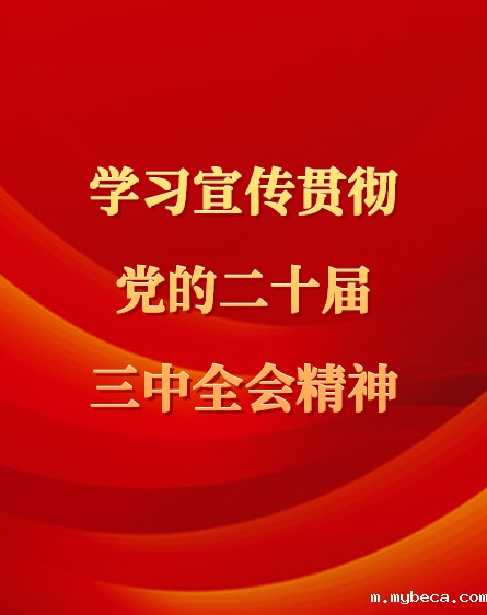 学习宣传贯彻党的二十届三中全会精神