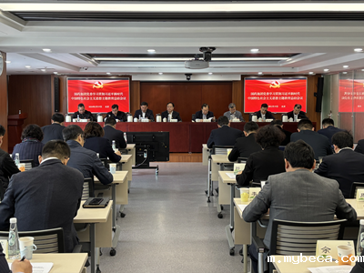 伟德bv1946官网首页党委召开学习贯彻习近平新时代中国特色社会主义思想主题教育总结会议