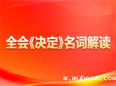 全会《决定》名词解释