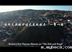 波斯尼亚的伊娃之花